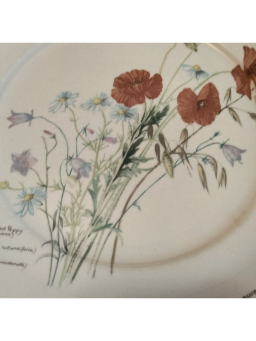Noritake of Ireland Country Diary of An Edwardian - Picture 2 of 14